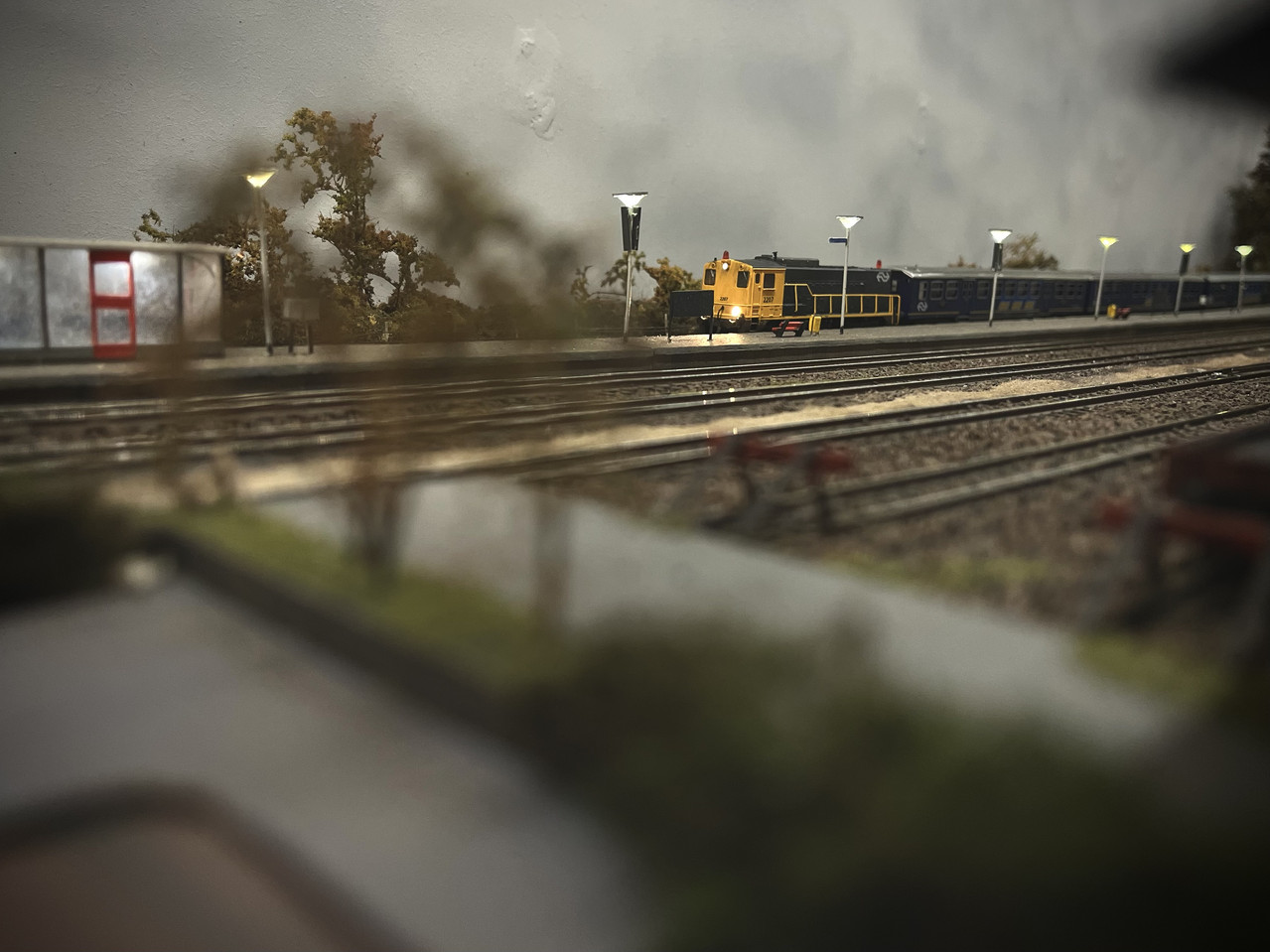 IMG 7616
