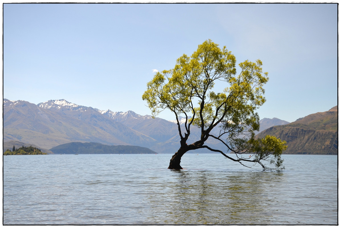 ¿Lo mejor de la isla Sur en 9 días? (Navidad 2018) - Escapadas y rutas por la Nueva Zelanda menos conocida (4)