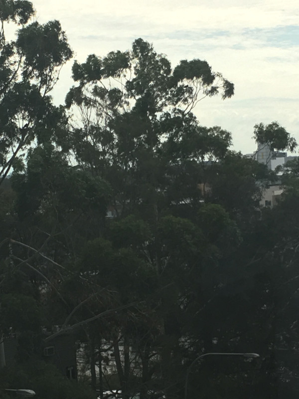 95F68FB8-4CC2-4818-9C39-982356FD9F46