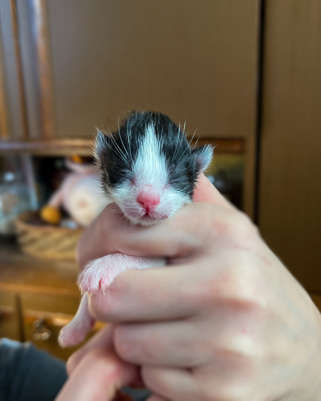 D349F6D5-C247-4120-BB7F-46AA4AB14F05