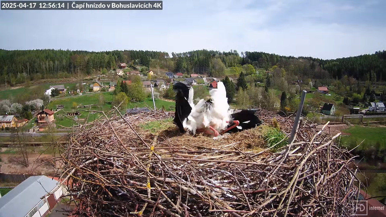 Tiešraidē no uzņēmuma KARA stārķa skursteņa Bohuslavicē pie Trutnovas 7-53-54 screenshot