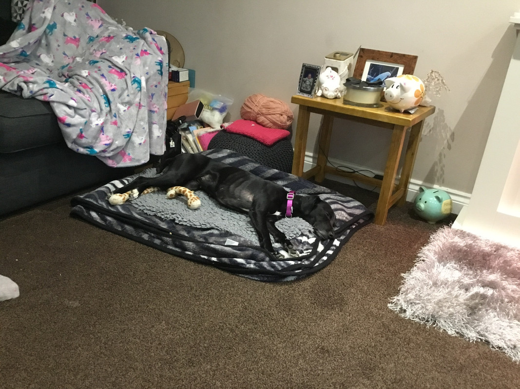 249210E0-A573-48A6-B3A8-2C2217F604DD