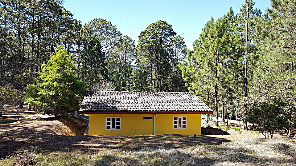 intibuca-bosques-del-llano-de-la-virgen.jpg