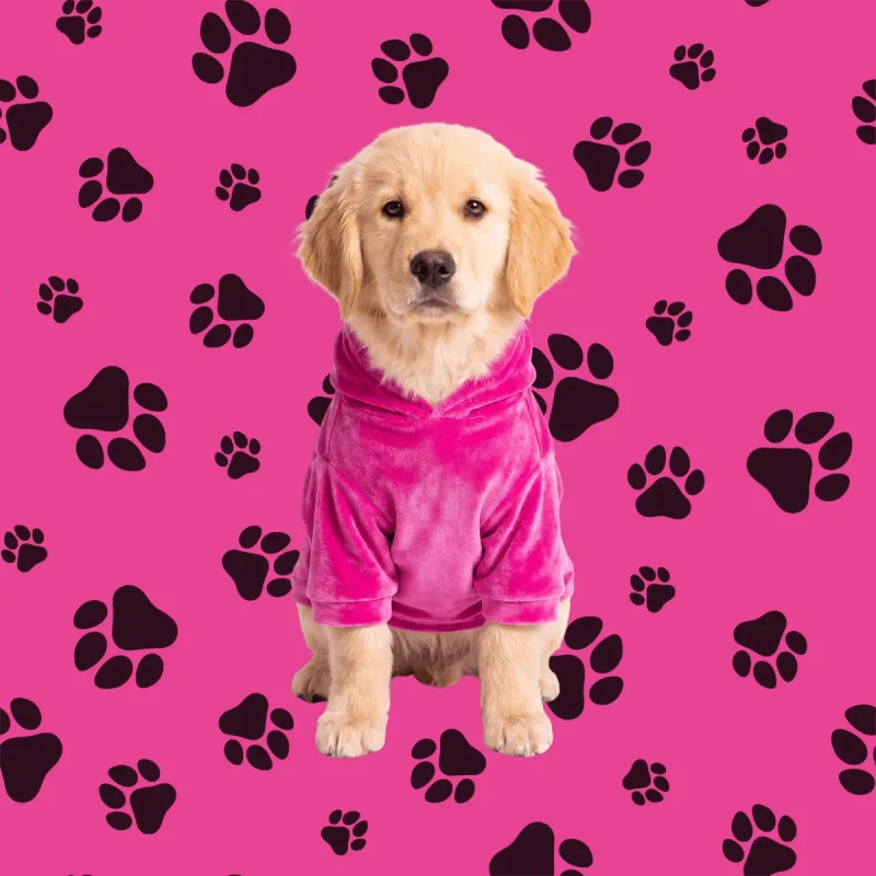 Pet 2 - Modelo vestido