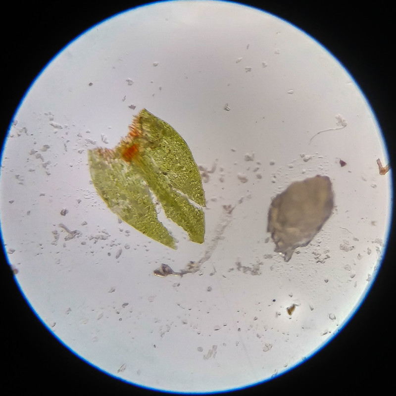 IMG 20250617 115452 HDR