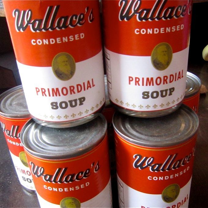 Primordial Soup