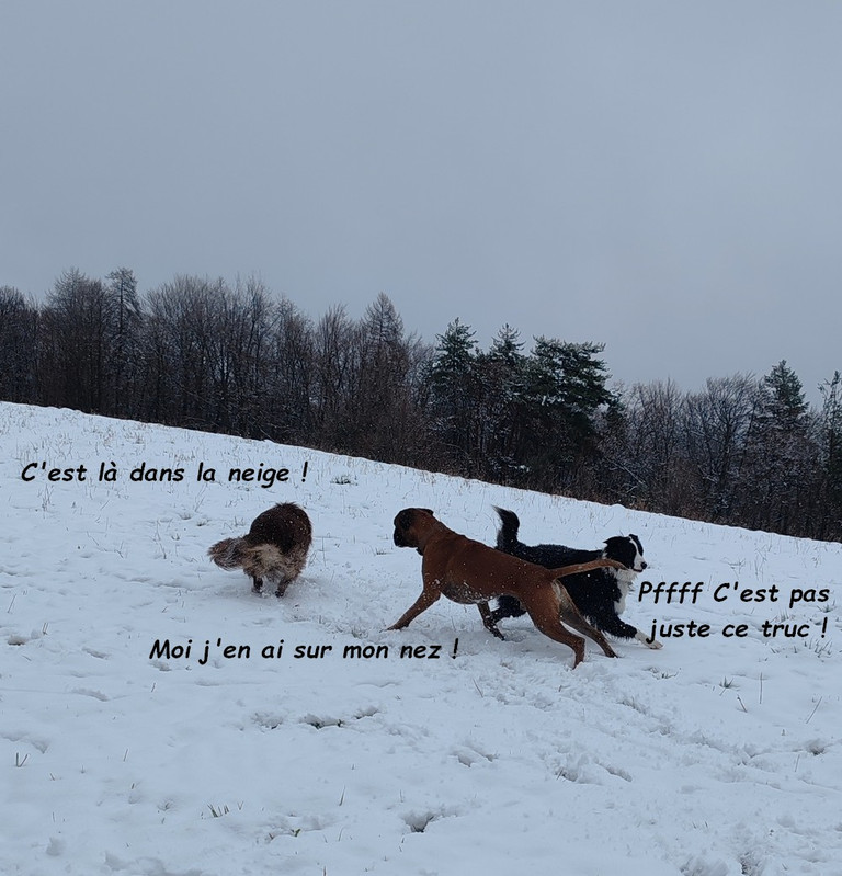 IMG-20260314-150456b