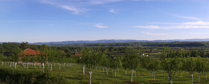 Slika