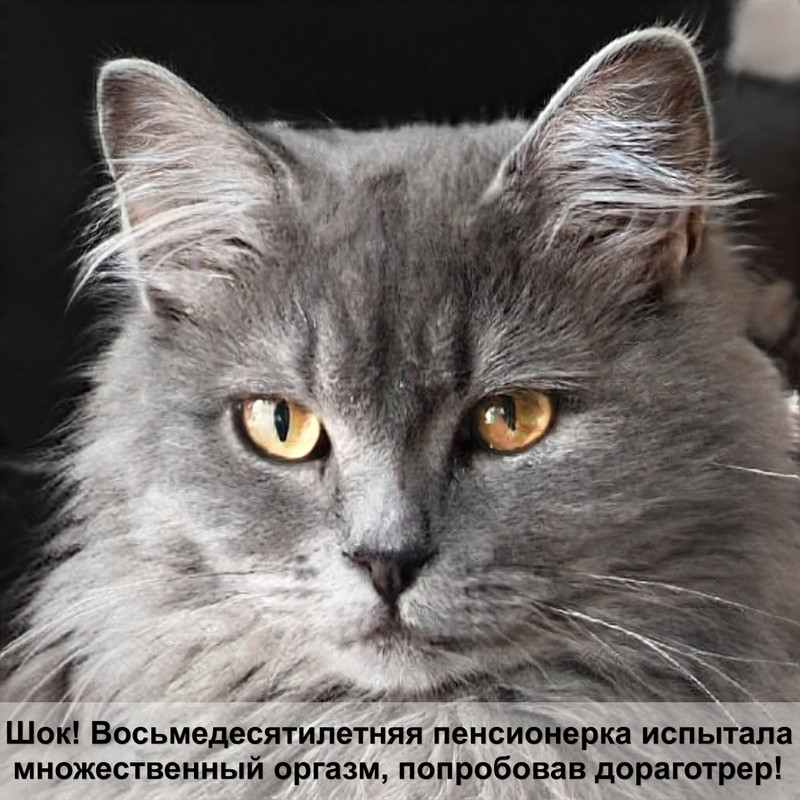 кошачий туалет наполнитель