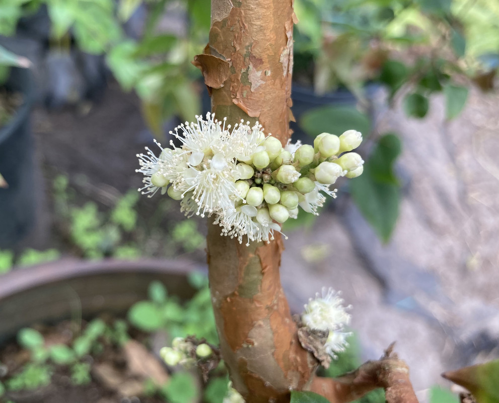 F9F18C4E-605E-46C9-8D8B-9828B331CC0A