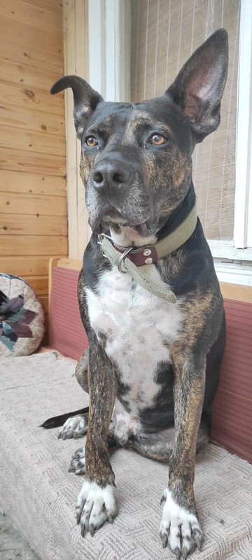 7A65C9F9-6662-44E7-A3EC-8453A2945363