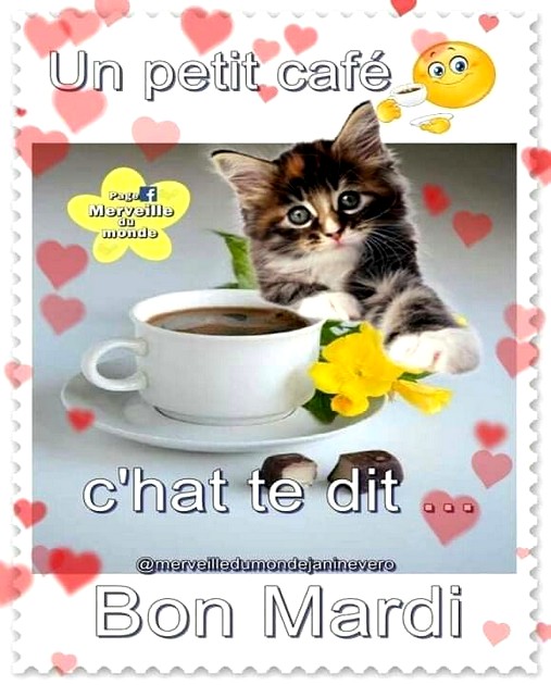 chatttt