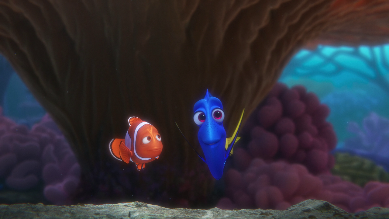 vlcsnap-2023-11-19-20h50m10s416