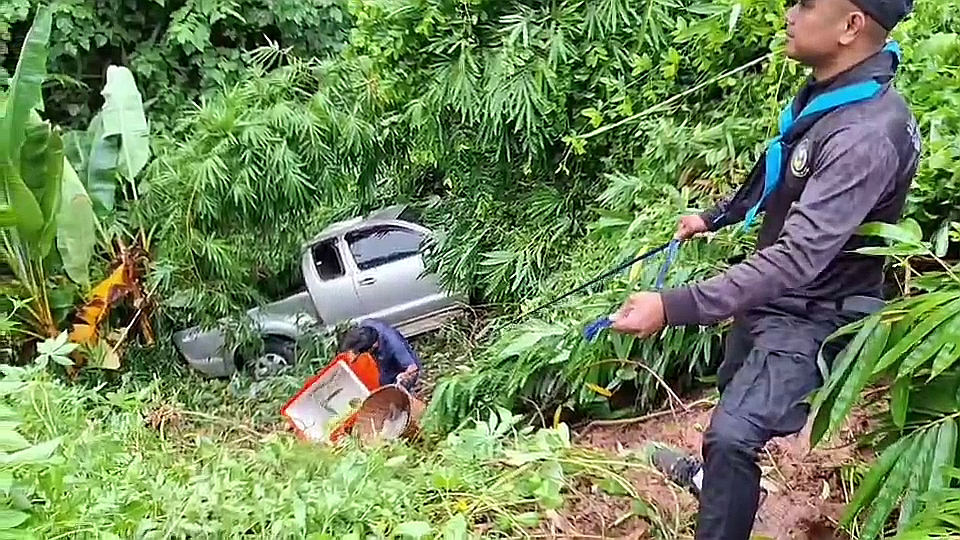 vlcsnap-2025-09-16-21h35m11s657