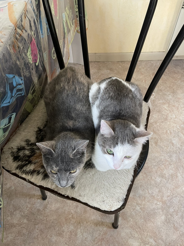 5C1E4ACC-8459-41F8-ACFB-92556BBBE5C1