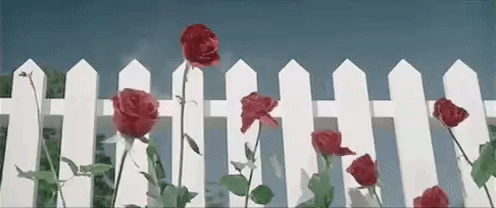 Whats-App-Video2026-02-25at10-41-02AM-ez