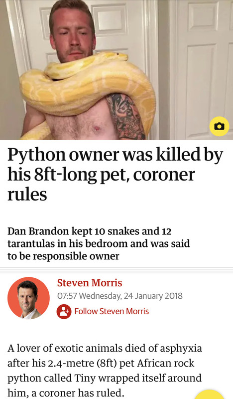 1297-E3-ED-A913-4-B53-AB2-A-DDA93-B4985-