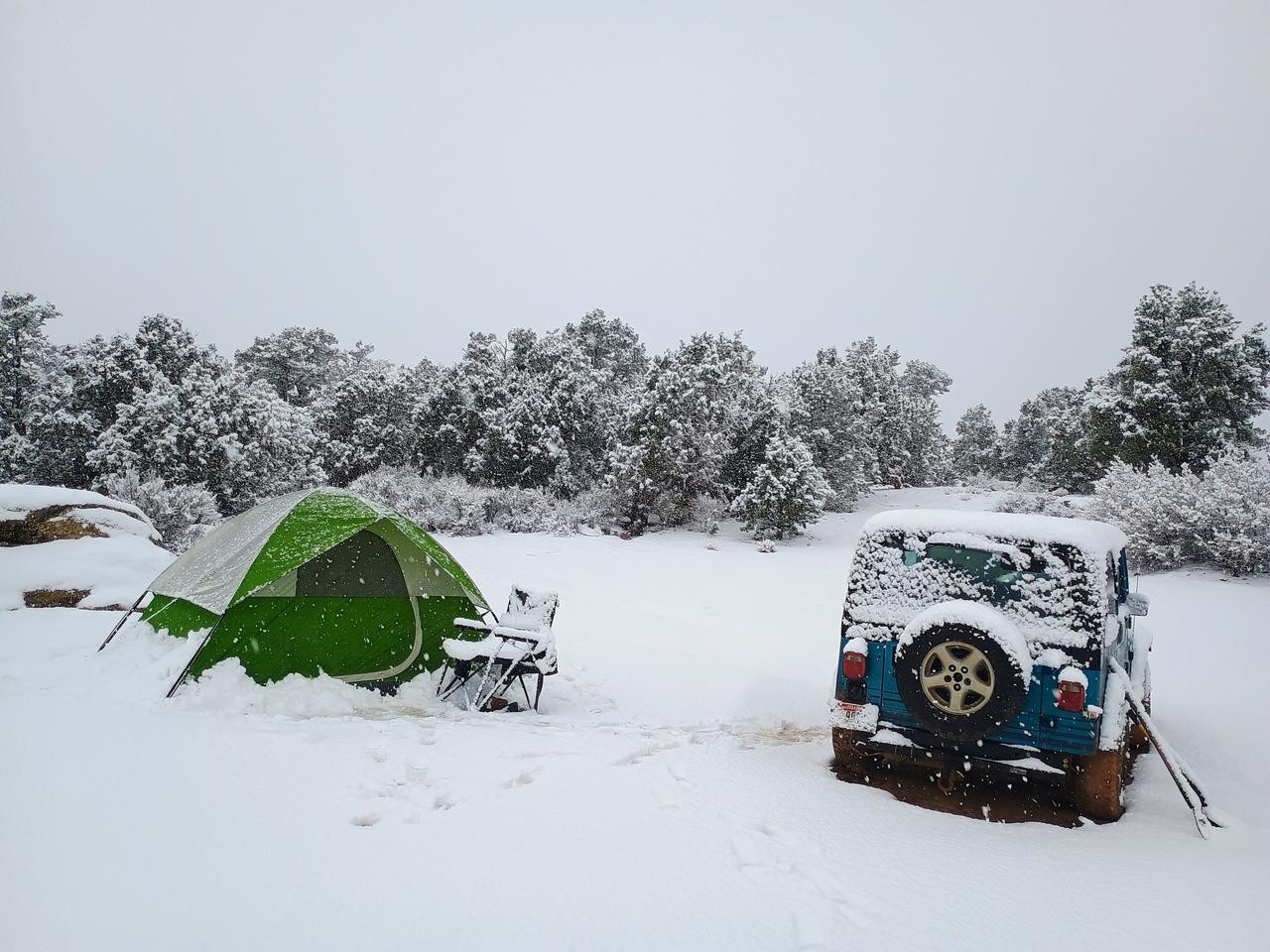 IMG 20260108 113719990 AE