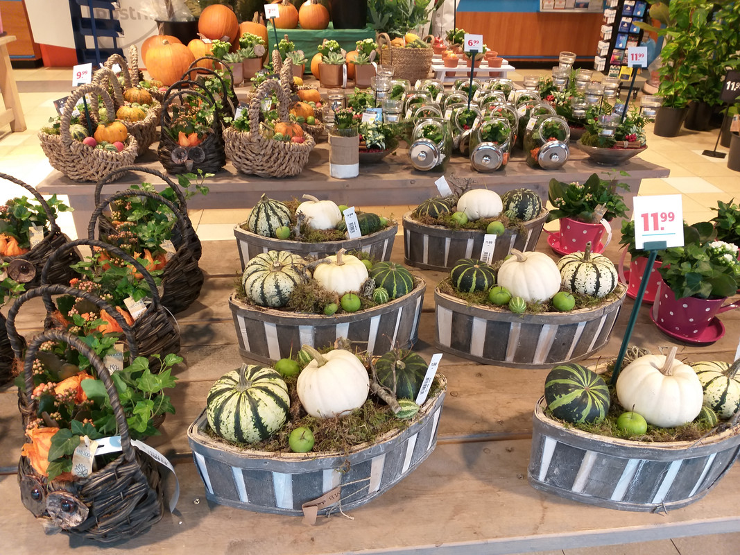 [Image: 20181004_170116.jpg]