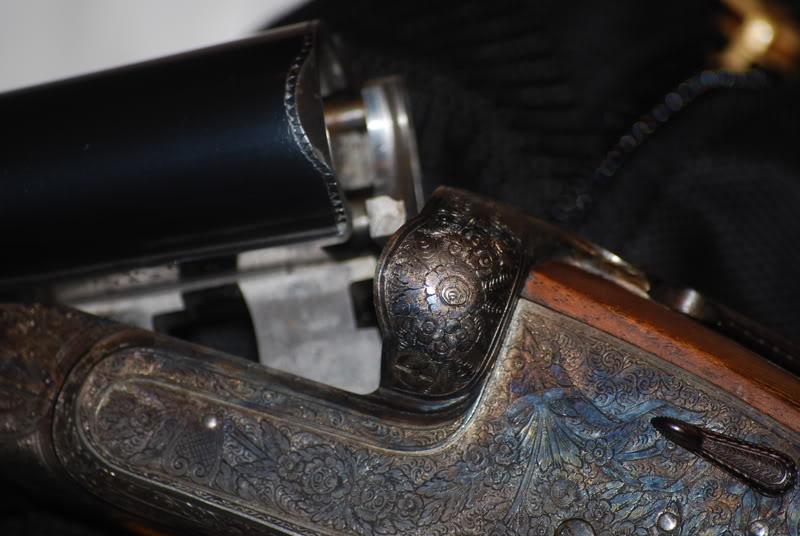 [Linked Image from i.postimg.cc]