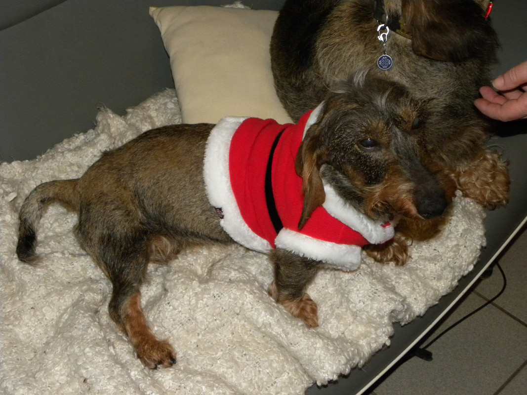 [Image: DSCN9700.jpg]