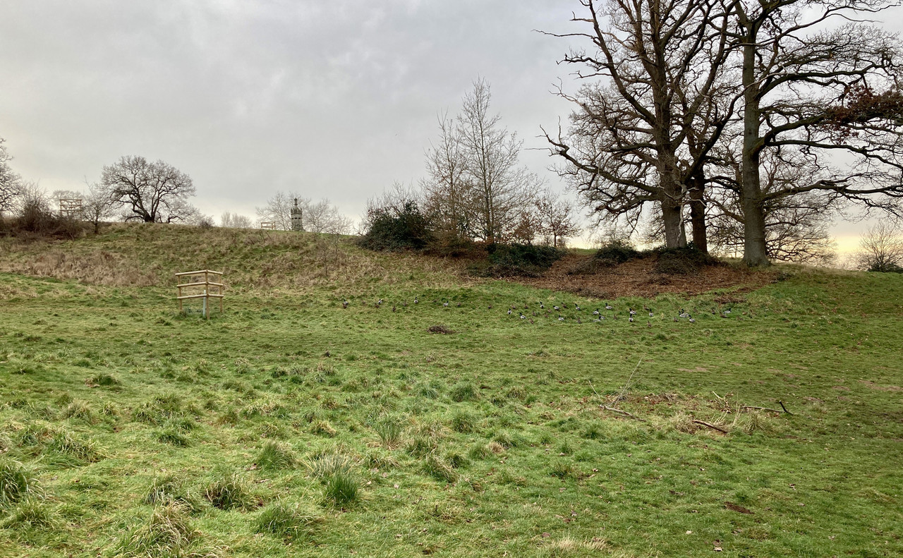 698D4542-A278-45C9-8ED7-4AFAF036876A