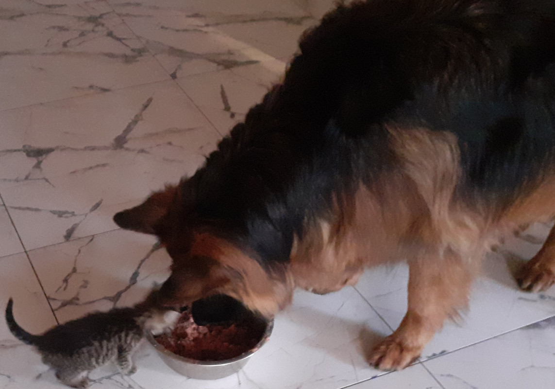 [Obrazek: pizdu.jpg]