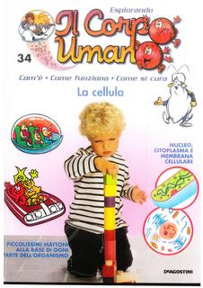 Esplorando il corpo umano N. 34 - La cellula