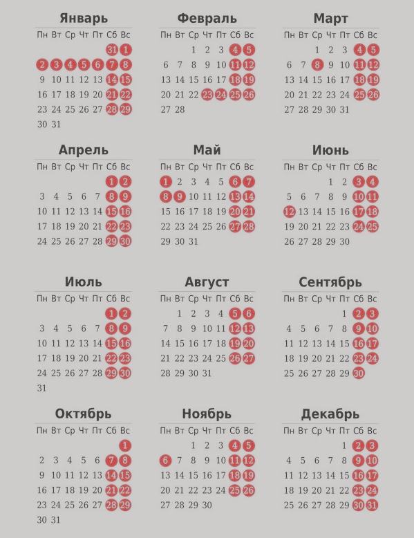 �������� � ��� 2023 ���� ���������������� ���������