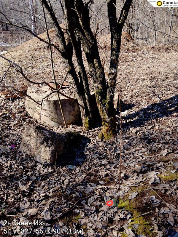 photo 11 2026 04 05 13 08 52