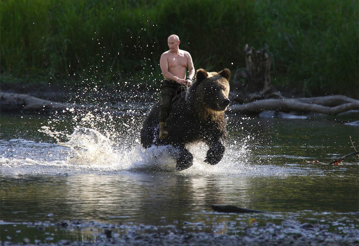 медведьа
