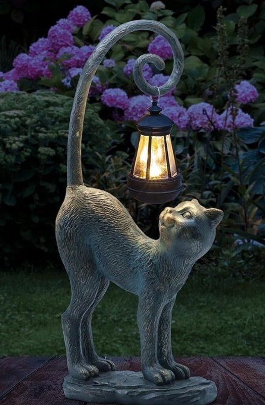 light-cat.jpg