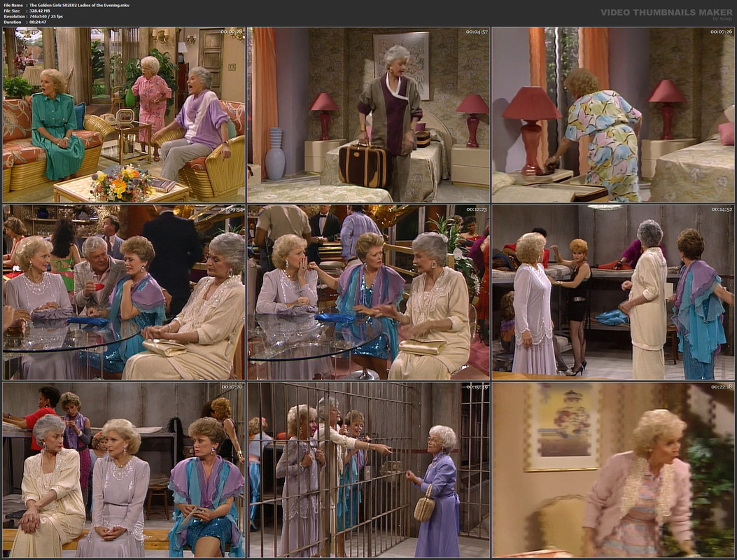 The Golden Girls S02E02 Ladies of the Evening.mkv