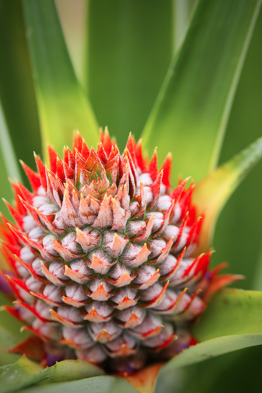 71B7A544-993F-423C-BEFA-AB53270A9785_1_201_a