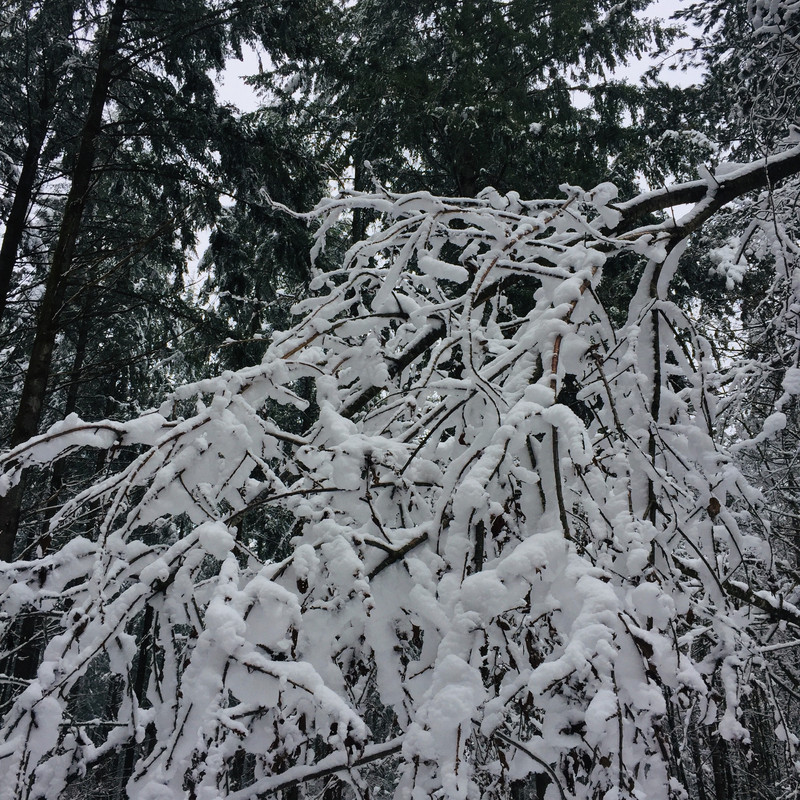 B3659A67-D82C-41F6-BB74-5D39AB47D42A