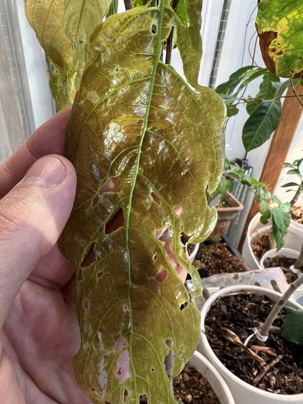 A50FD9D9-8E6A-4956-B78E-EE842979305B