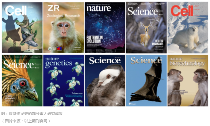 国家基因库支撑6大生物多样性研究成果连登Nature/Cell-1.png