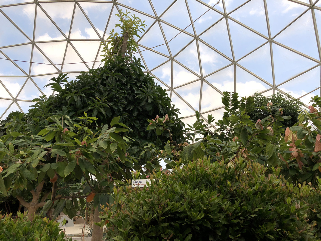 43DE556A-3663-4AFA-BEC9-CC94C98A3EFD