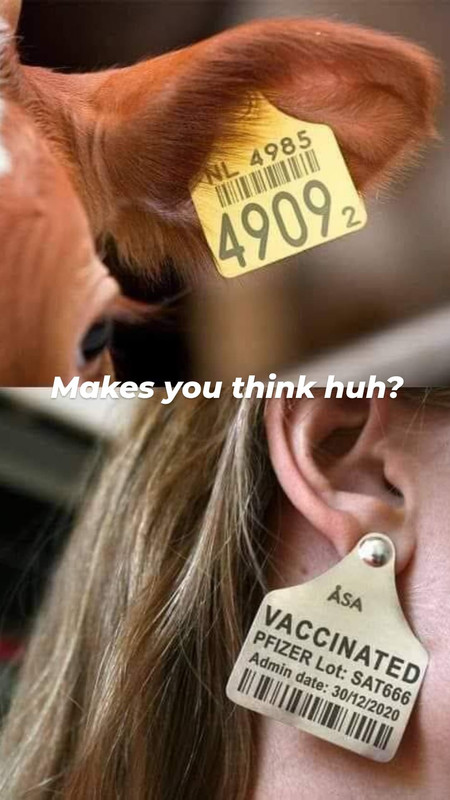 220252958_539724547169016_63217461563030