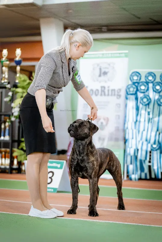 7zxtGcX_2hgWnHAWipR_N_mSQbNILXzwbTexGnJ8M3mYfVNvBOvZGKggIi7gdNnMEFF46yU4Dqsw2f4k9MdbEFoi