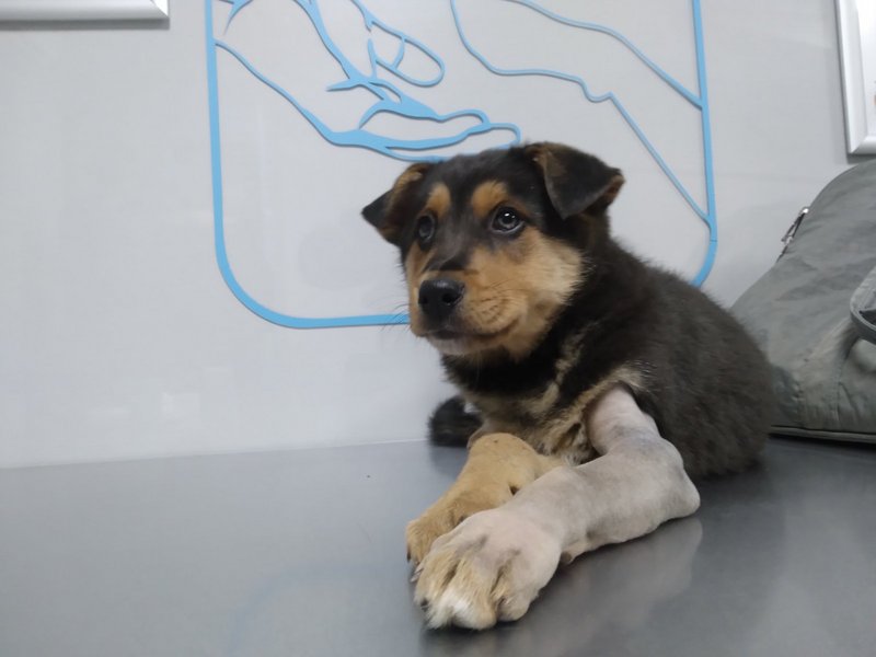 изображение_viber_2022-12-10_22-37-07-131