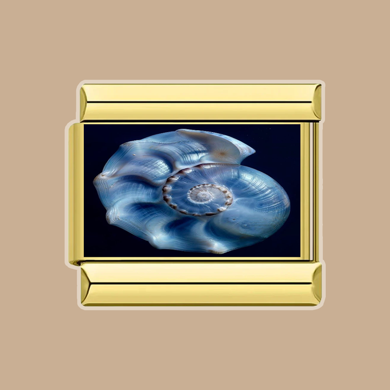 base1 overlay17