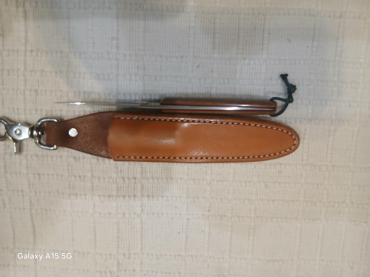 Resized 20260223 195236