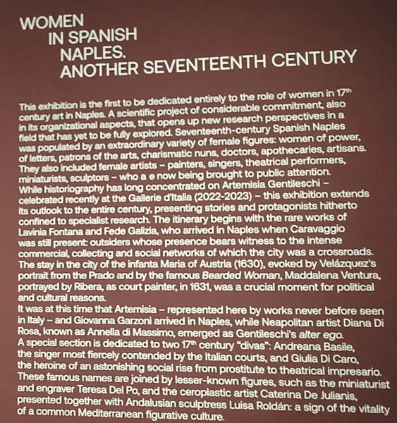 Roma y Nápoles: Bernini, Giorgione y mucho más. - Blogs de Italia - Nápoles: Museo de Capodimonte y Galerías de Italia. (261)