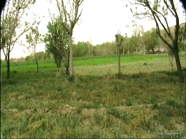 P-Apr04-114653