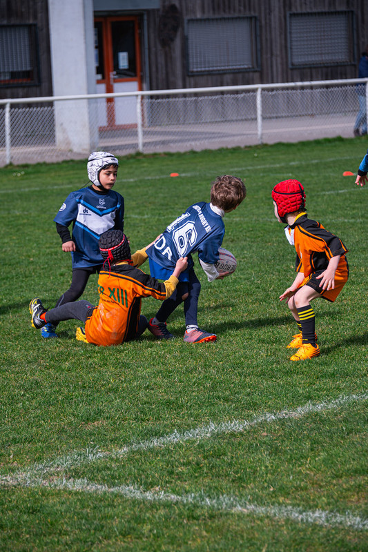 tournoi-de-latlantique-2026-adonis-griffon-137-55181546824-l