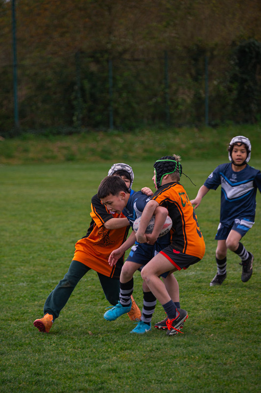 tournoi-de-latlantique-2026-adonis-griffon-128-55181546904-l