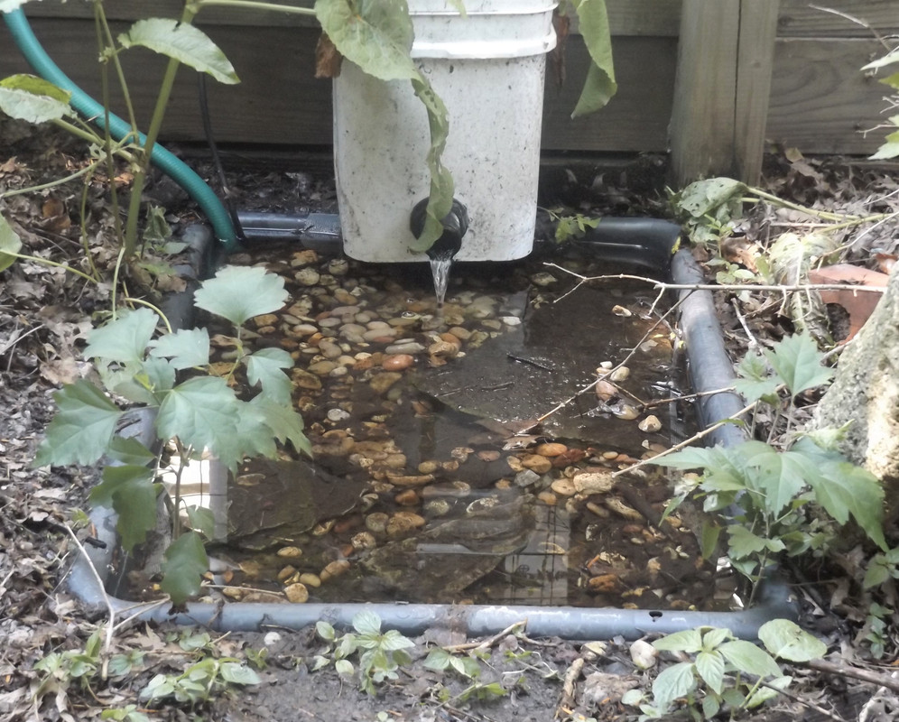 DSCF9445-2.jpg