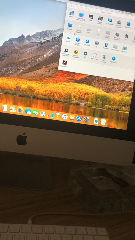 WhatsApp Image 2018-05-24 at 15.49.26 (1)