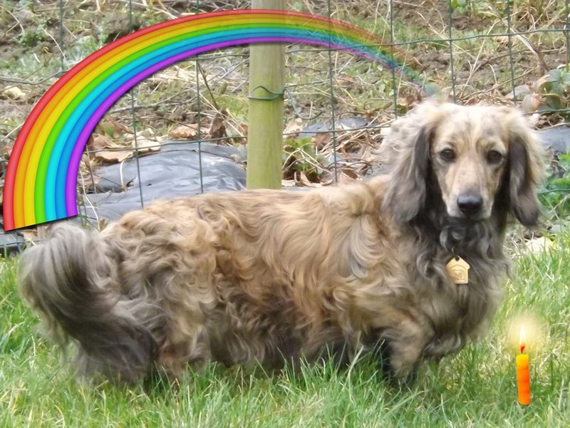 [Image: Pr-sentation-Honey.jpg]